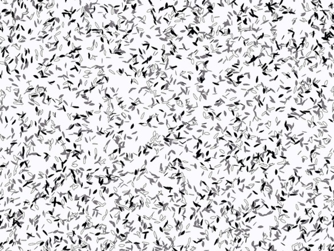 Taralay Impression Compact - 1098 Envol Black n White